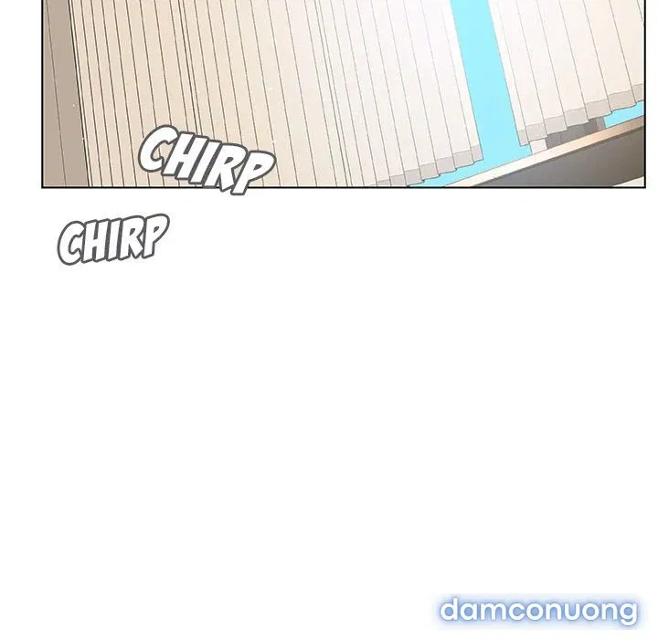 Hoa tàn 
