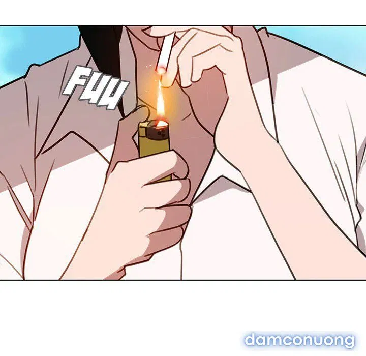 Hoa tàn 