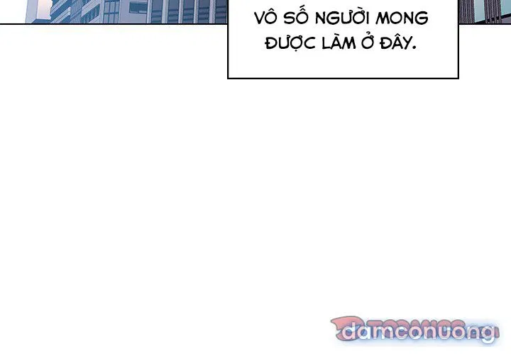 Hoa tàn 