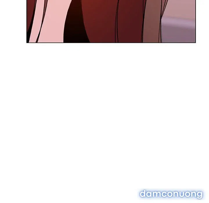 Hoa tàn 