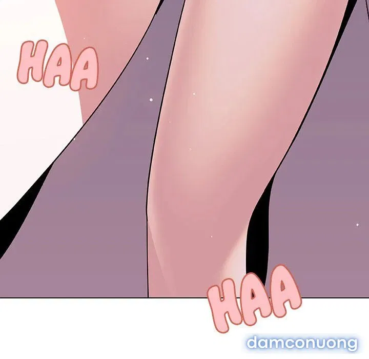 Hoa tàn 