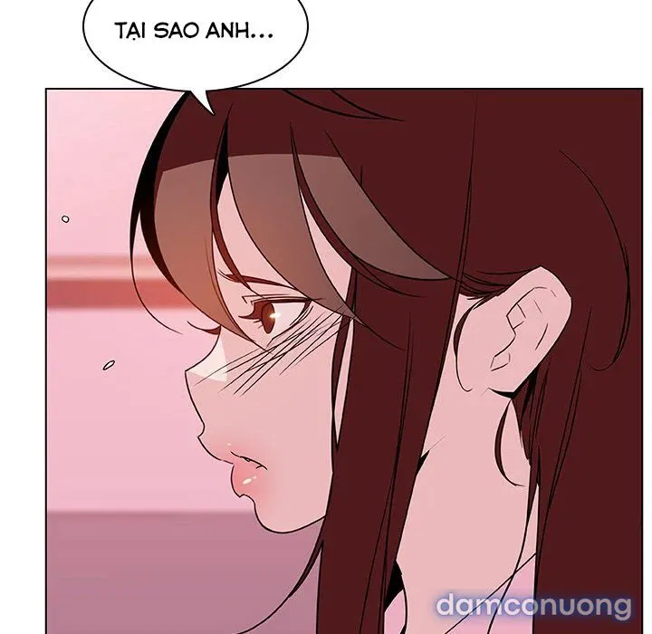 Hoa tàn 