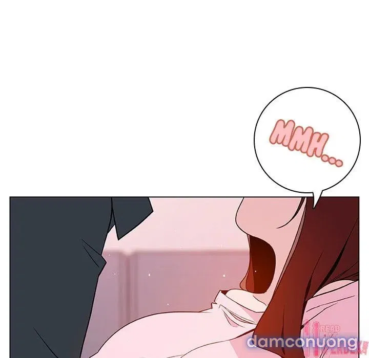 Hoa tàn 