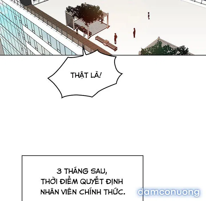 Hoa tàn 