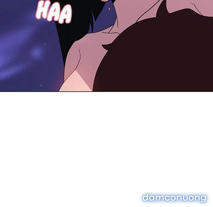 Hoa tàn 