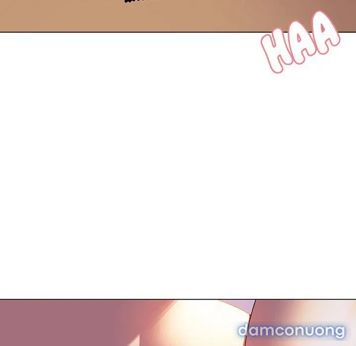 Hoa tàn 