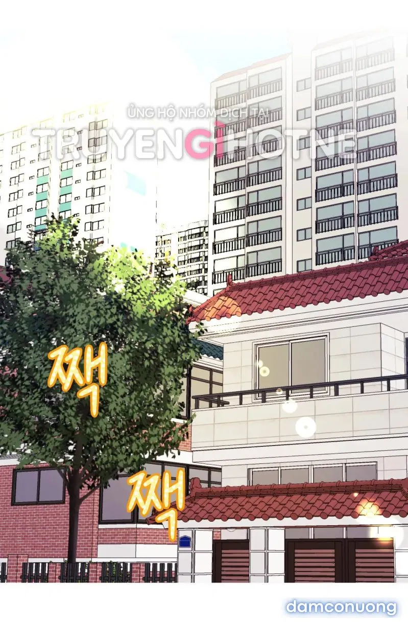 Ngôi Nhà Tình Yêu 