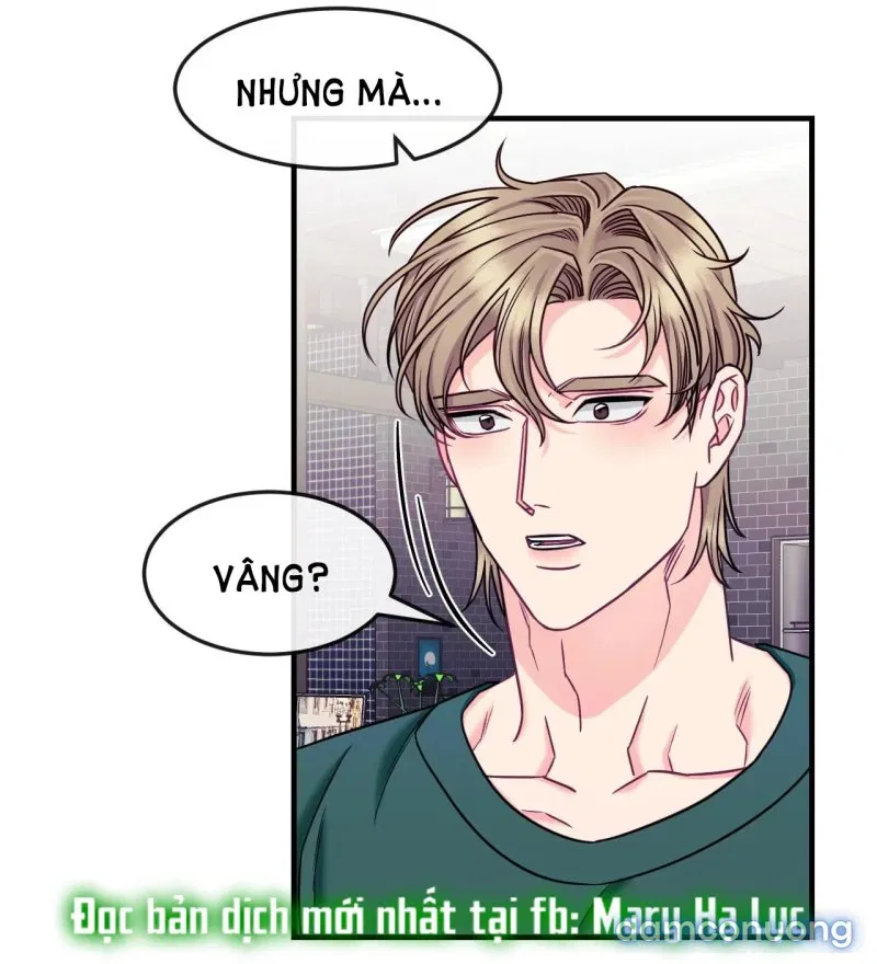 Ngôi Nhà Tình Yêu 