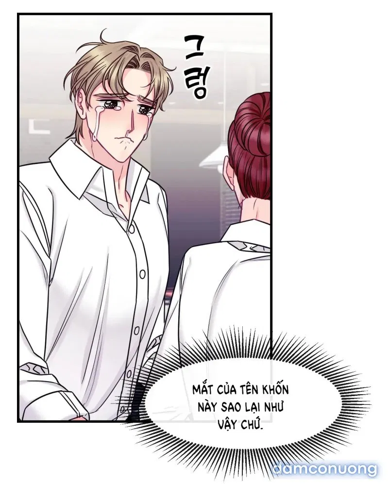 Ngôi Nhà Tình Yêu 