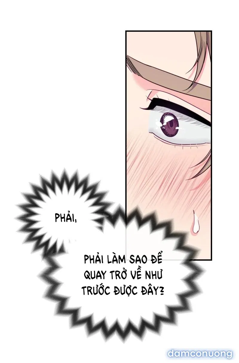 Ngôi Nhà Tình Yêu 