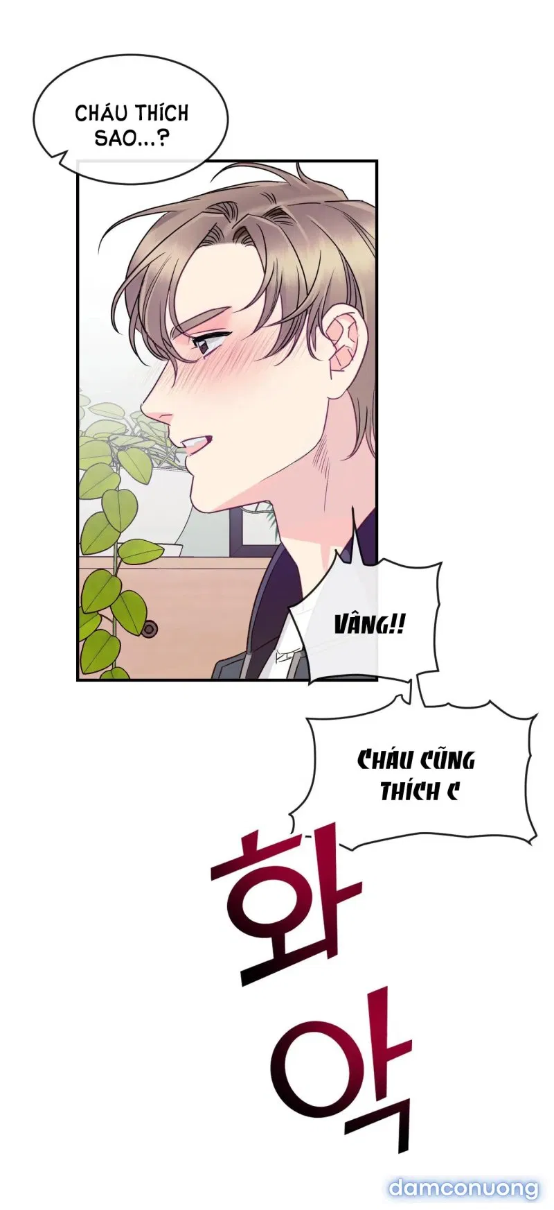 Ngôi Nhà Tình Yêu 