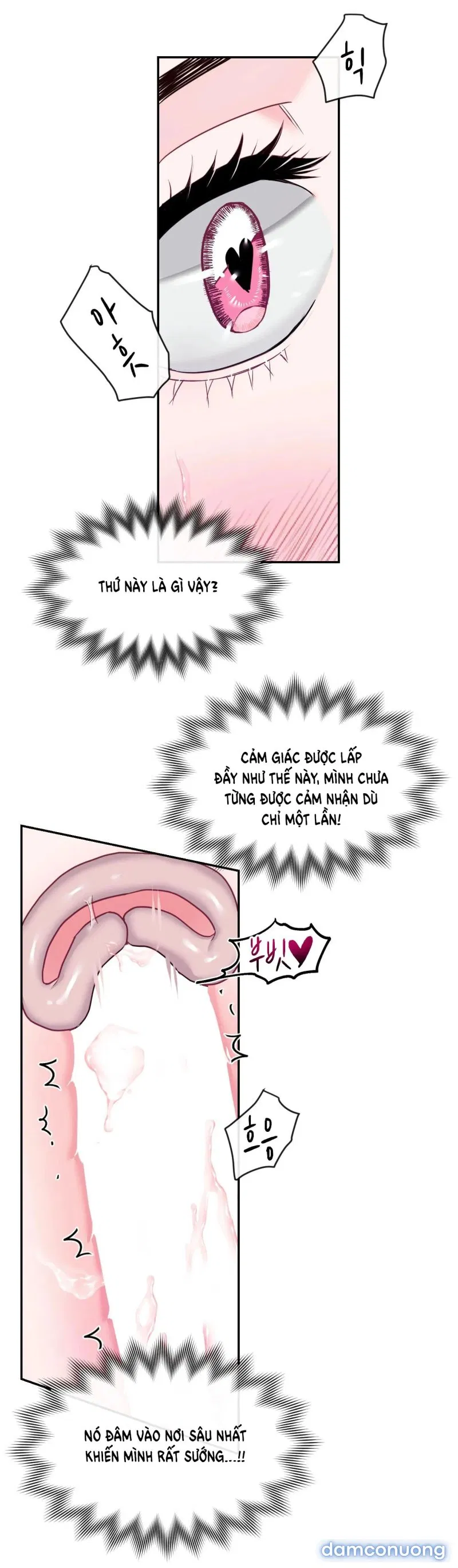 Ngôi Nhà Tình Yêu 