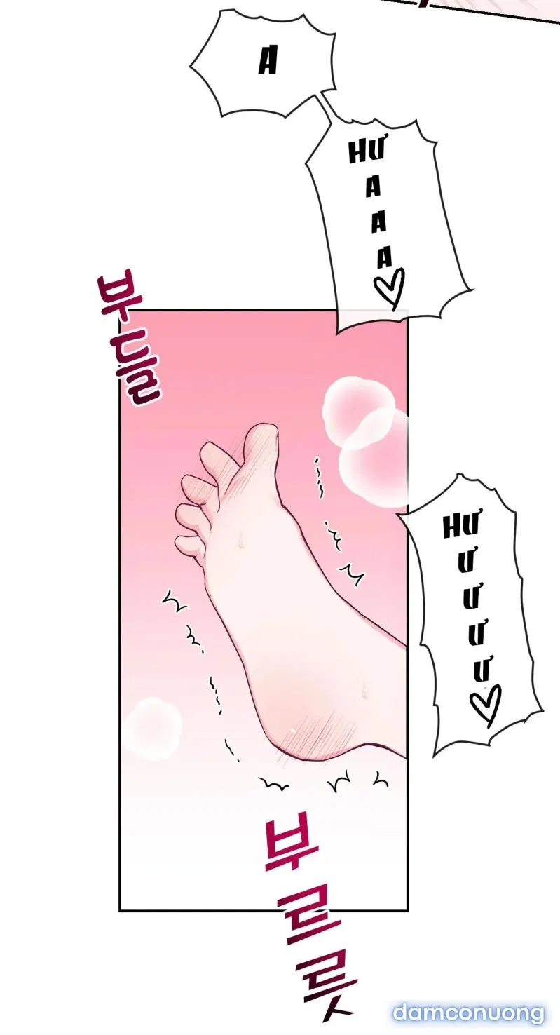 Ngôi Nhà Tình Yêu 