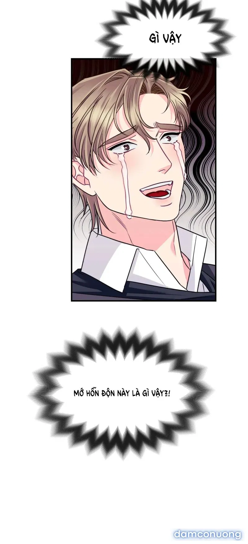 Ngôi Nhà Tình Yêu 