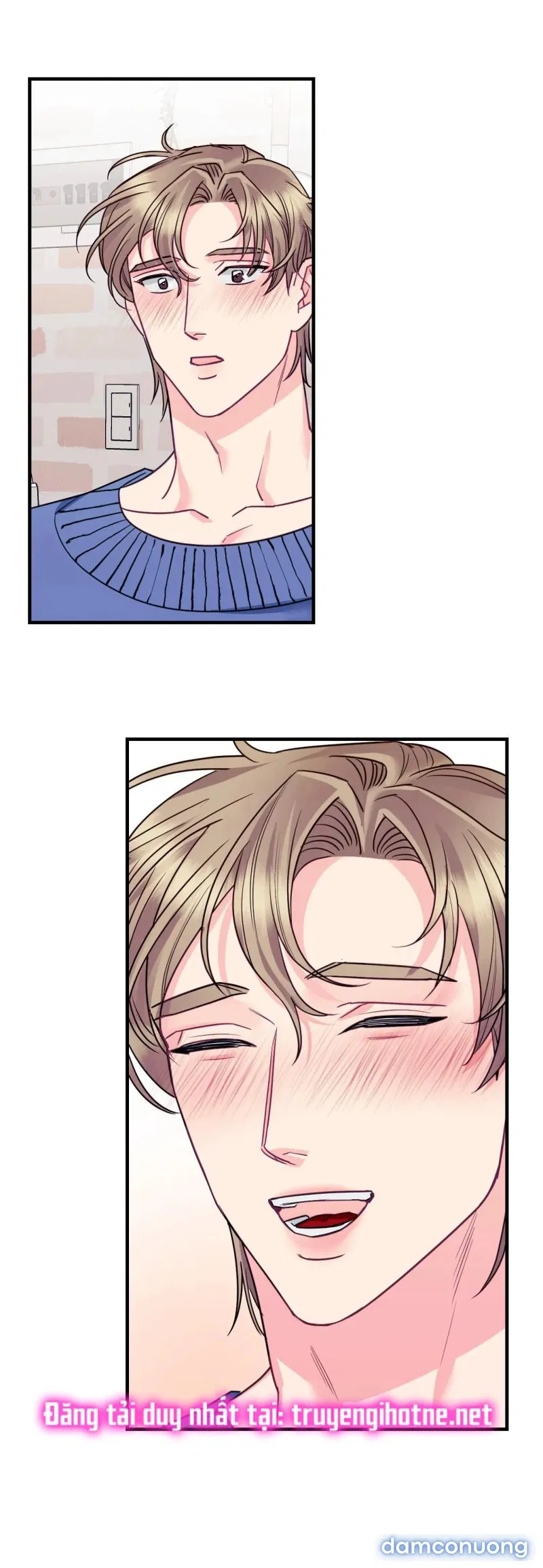 Ngôi Nhà Tình Yêu 