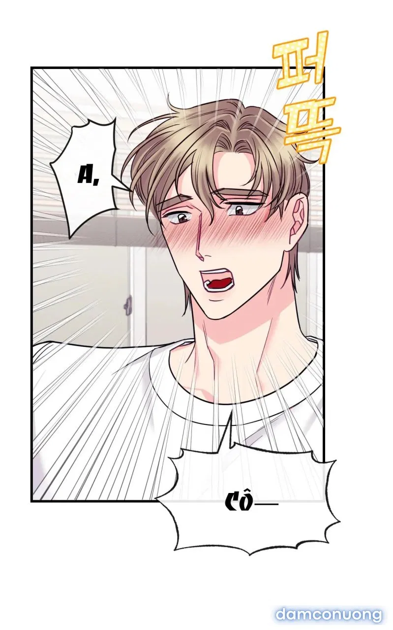 Ngôi Nhà Tình Yêu 