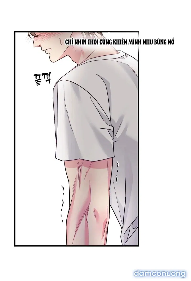 Ngôi Nhà Tình Yêu 