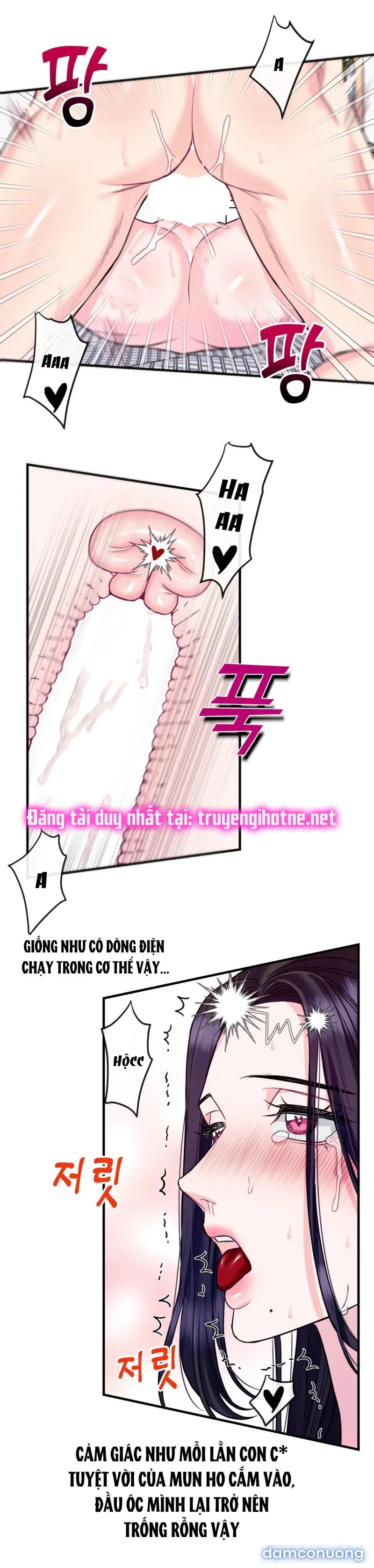 Ngôi Nhà Tình Yêu 