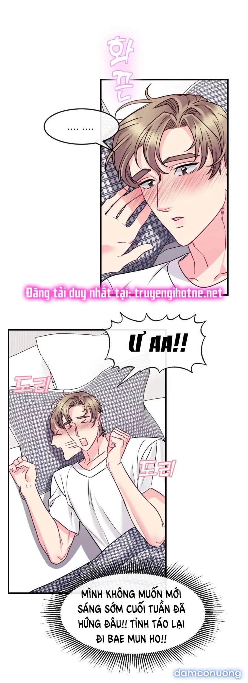 Ngôi Nhà Tình Yêu 