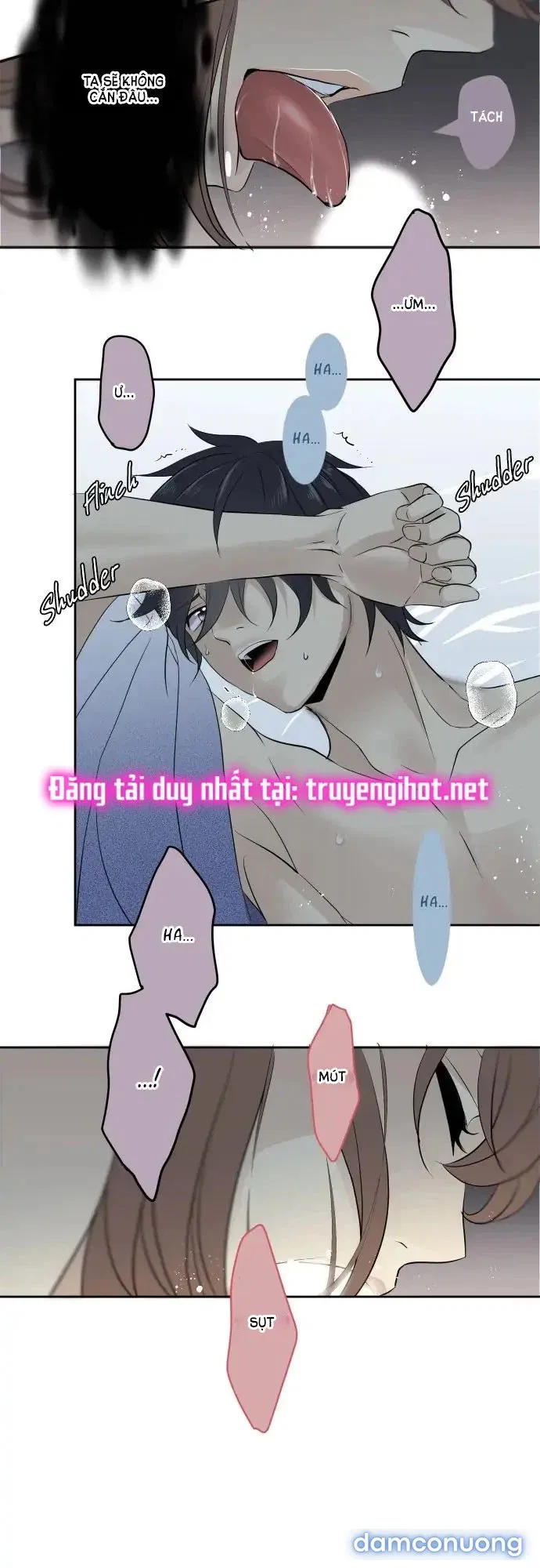 Phục Tùng Tuyệt Đối Nữ Thần Rắn 