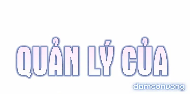 Quản Lý Của Siêu Anh Hùng 