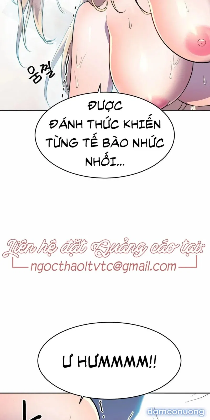 Quản Lý Của Siêu Anh Hùng 