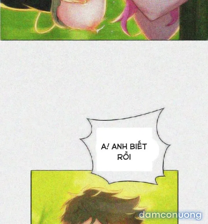 Chị Gái Mưa 