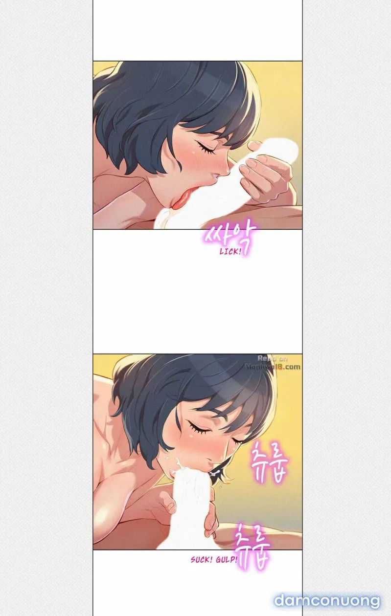 Chị Gái Mưa 