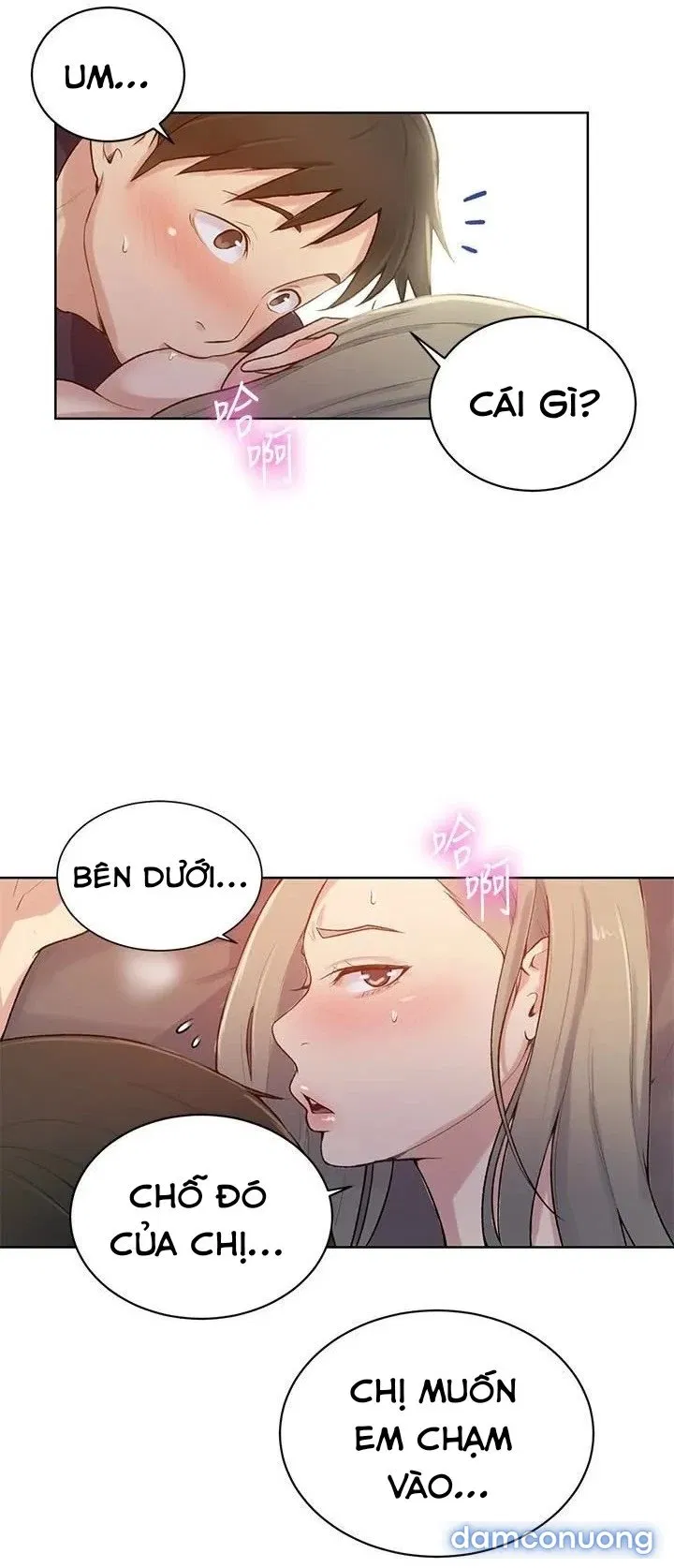 Secret Class – Lớp Học Bí Mật 