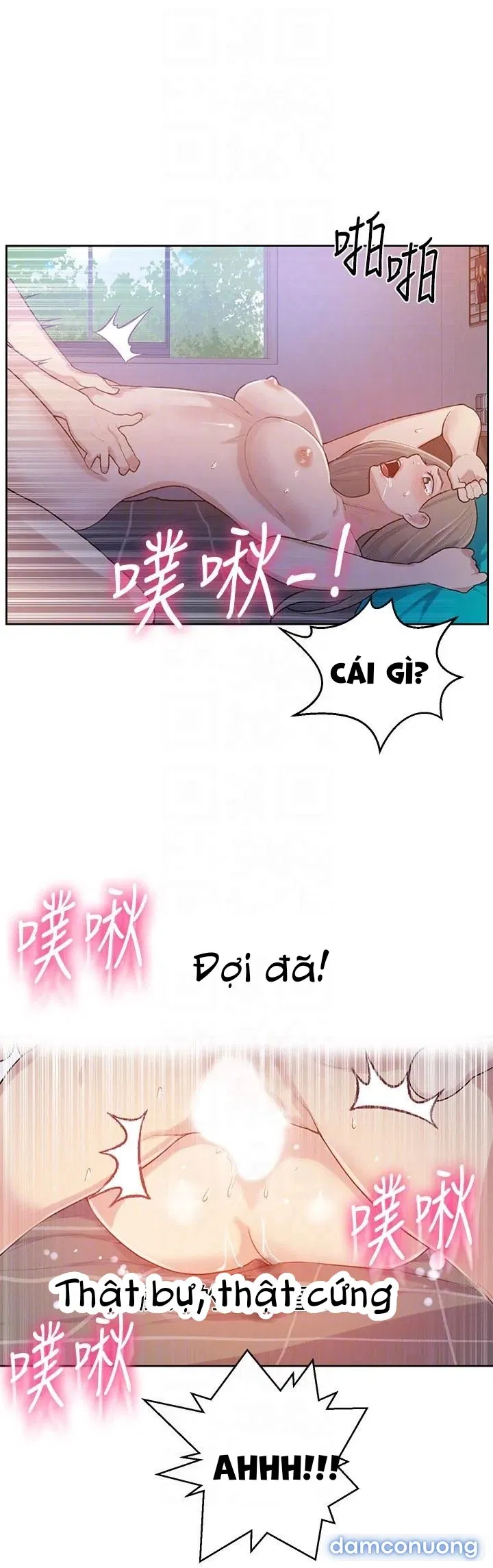 Secret Class – Lớp Học Bí Mật 