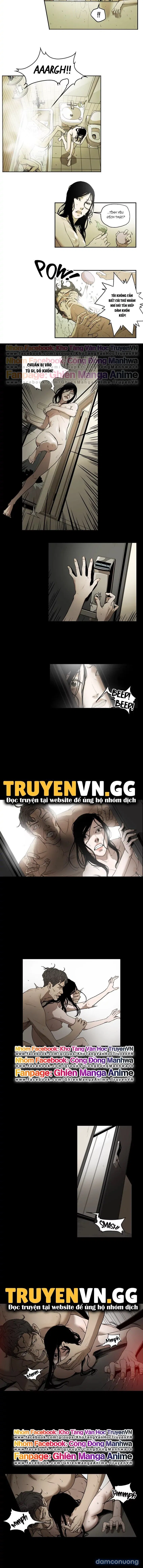 Bẫy Mật Ngọt 