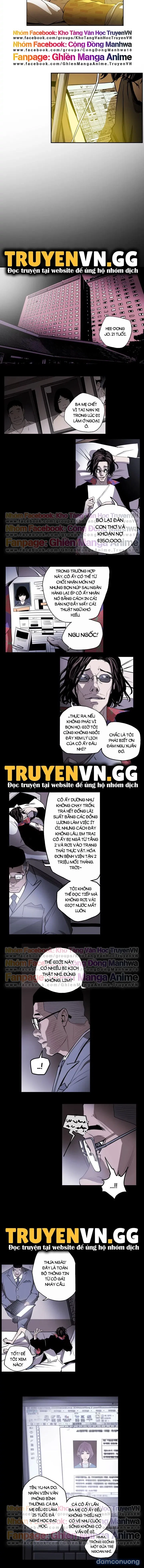 Bẫy Mật Ngọt 