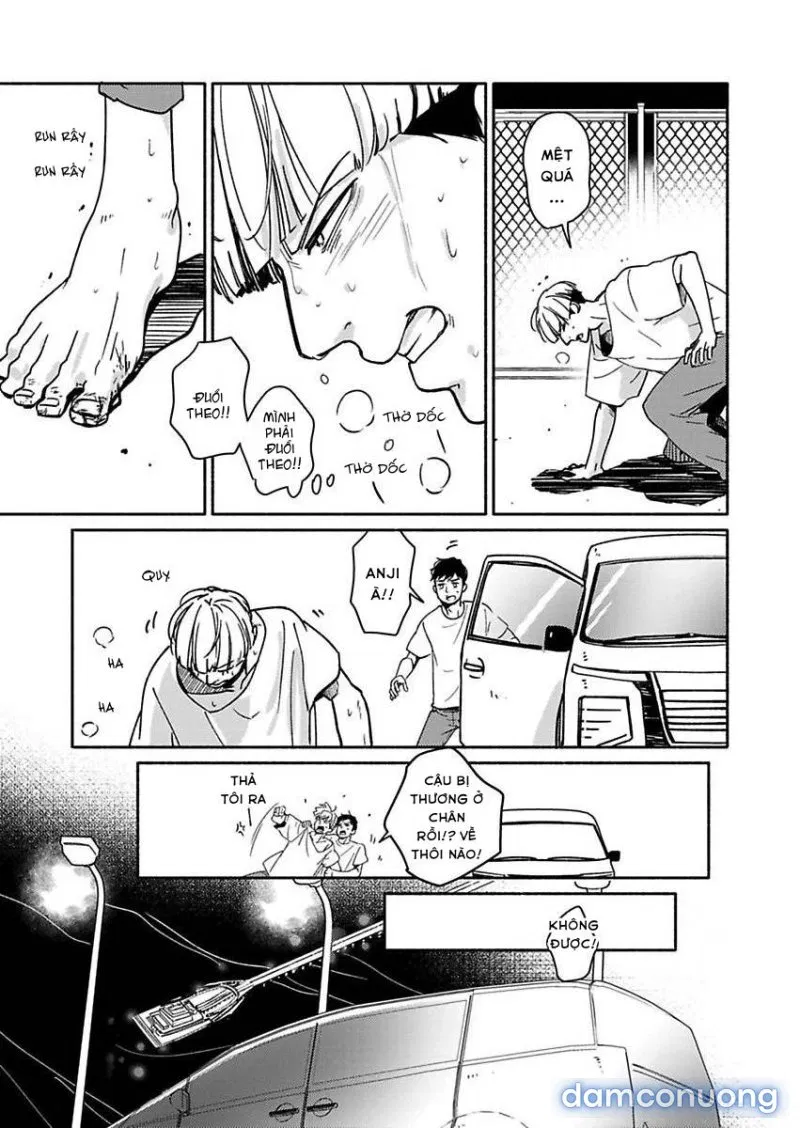 Tia Chớp Tình Yêu 