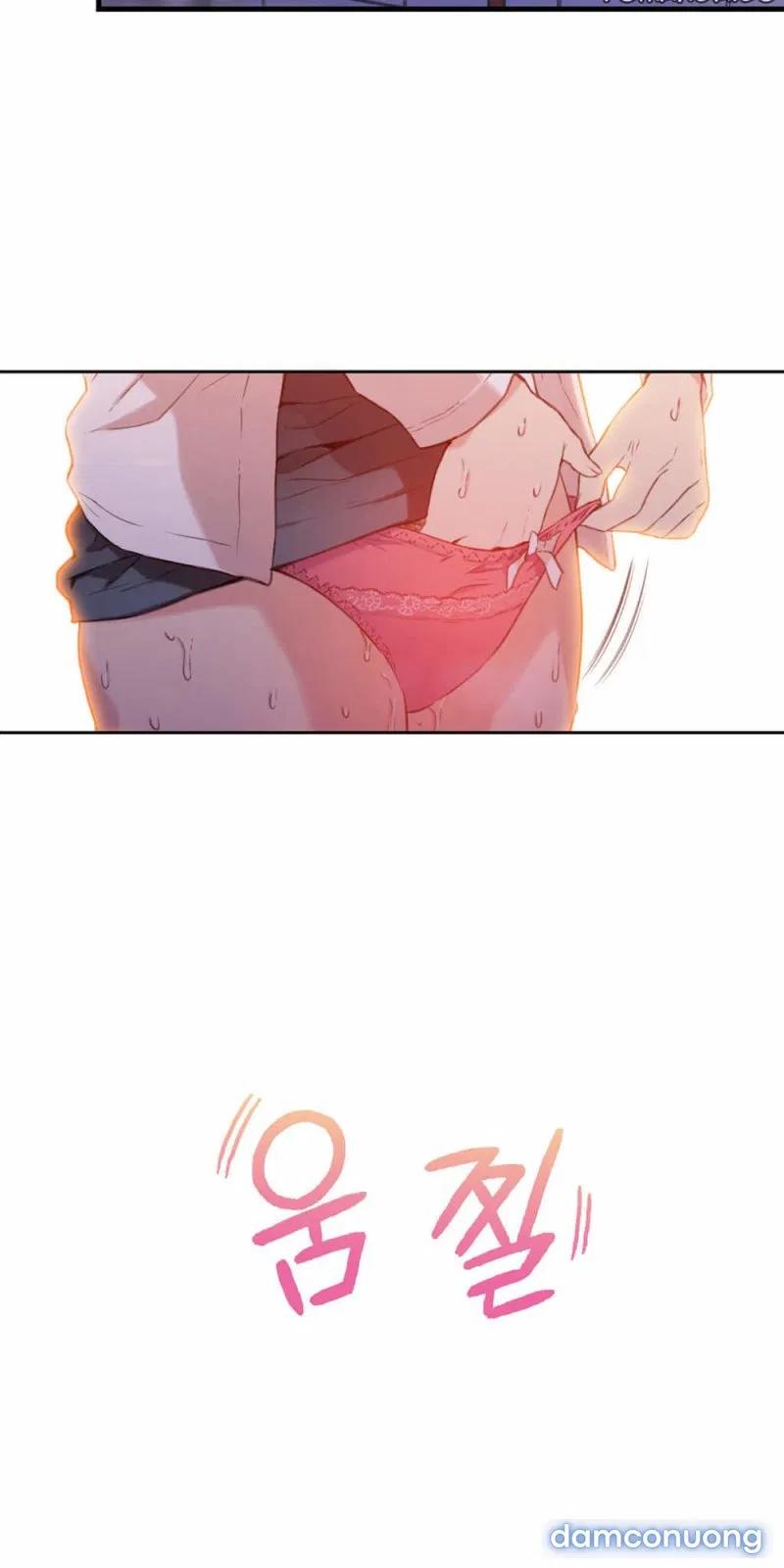 Sweet Guy 