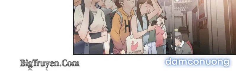 Sweet Guy 