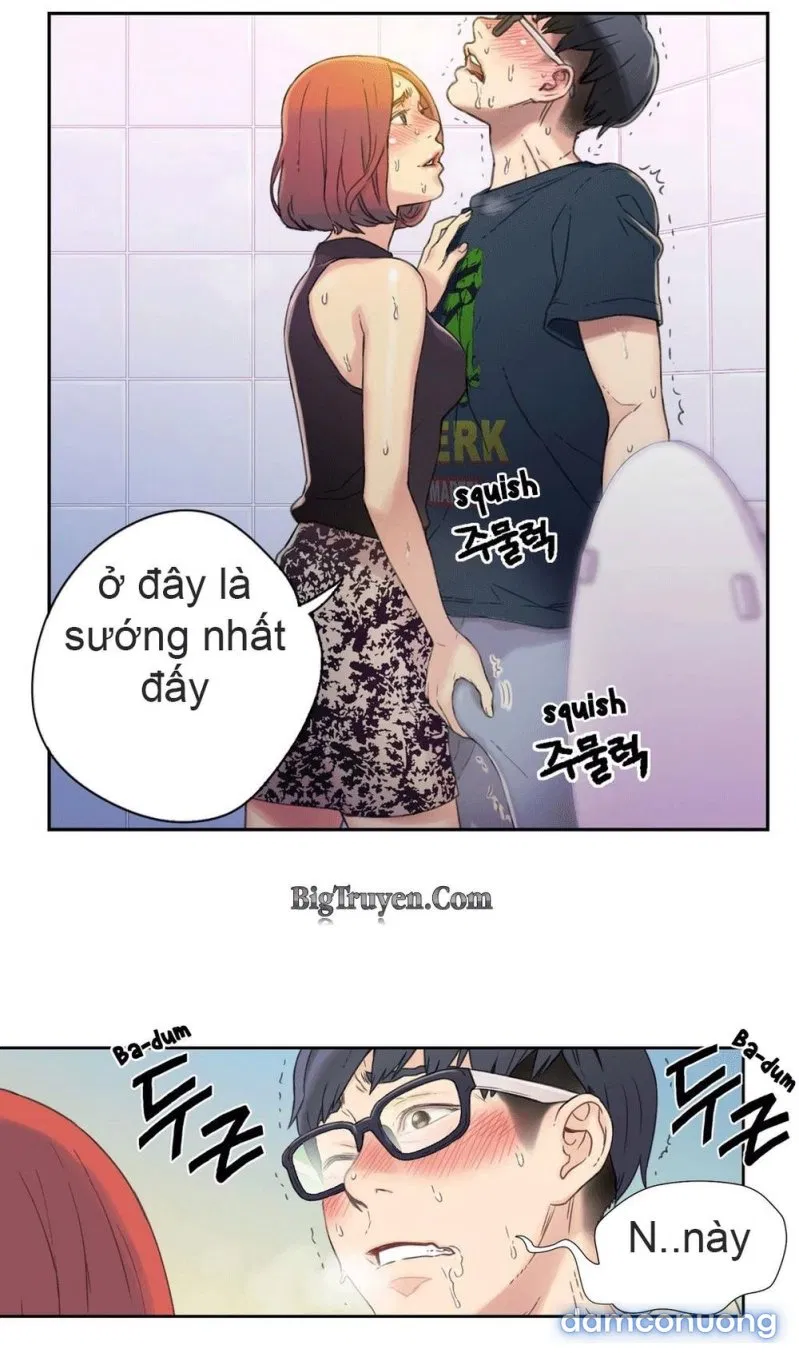 Sweet Guy 