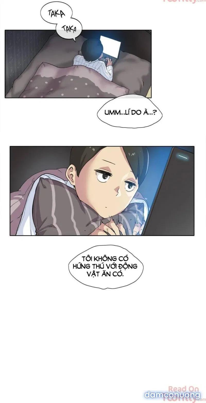 Vùng Đất Kỳ Diệu 