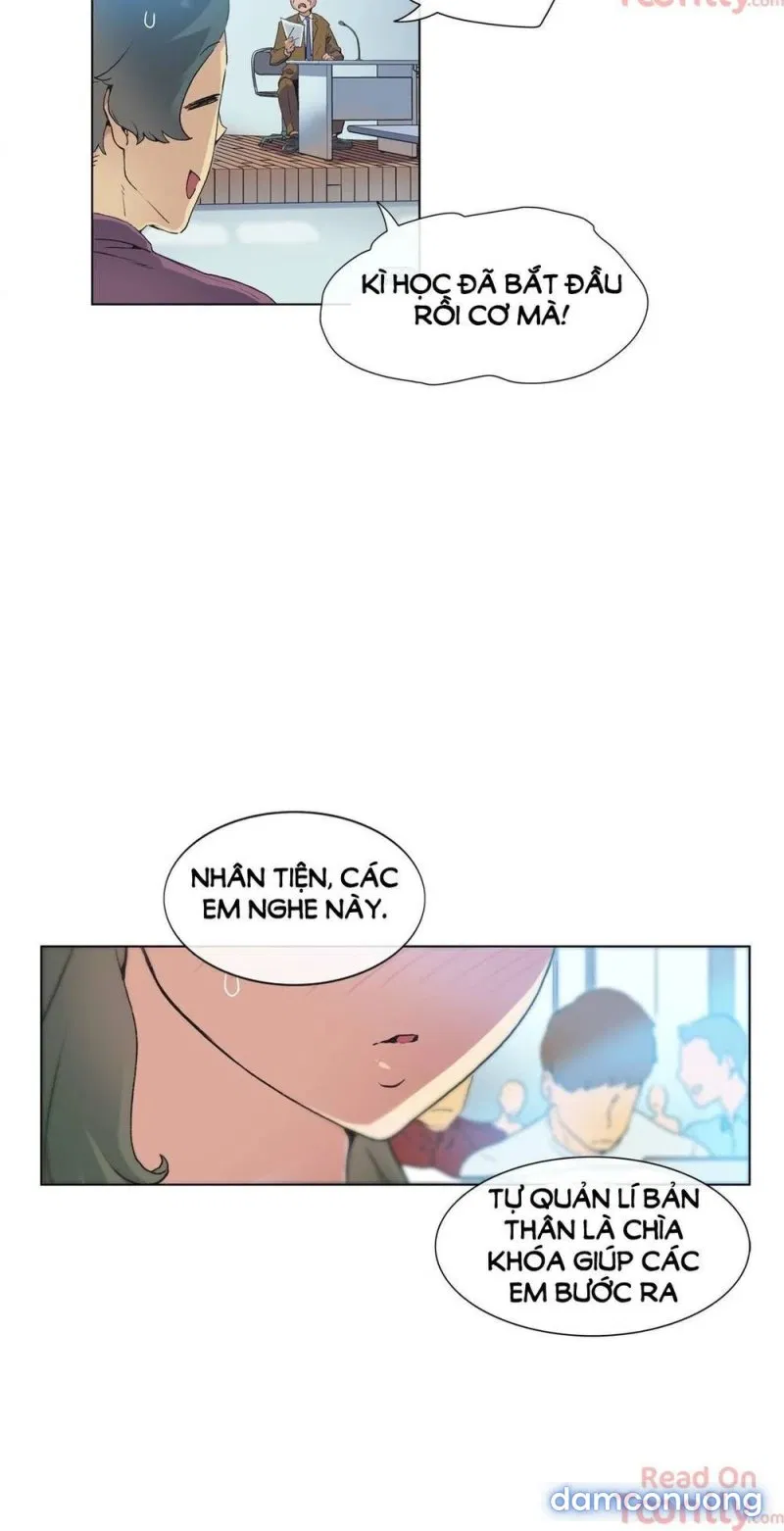 Vùng Đất Kỳ Diệu 