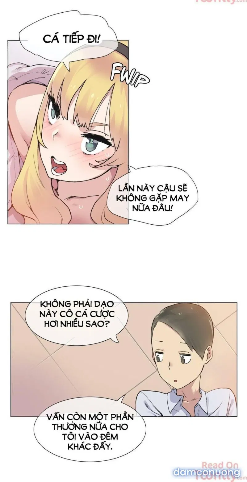 Vùng Đất Kỳ Diệu 