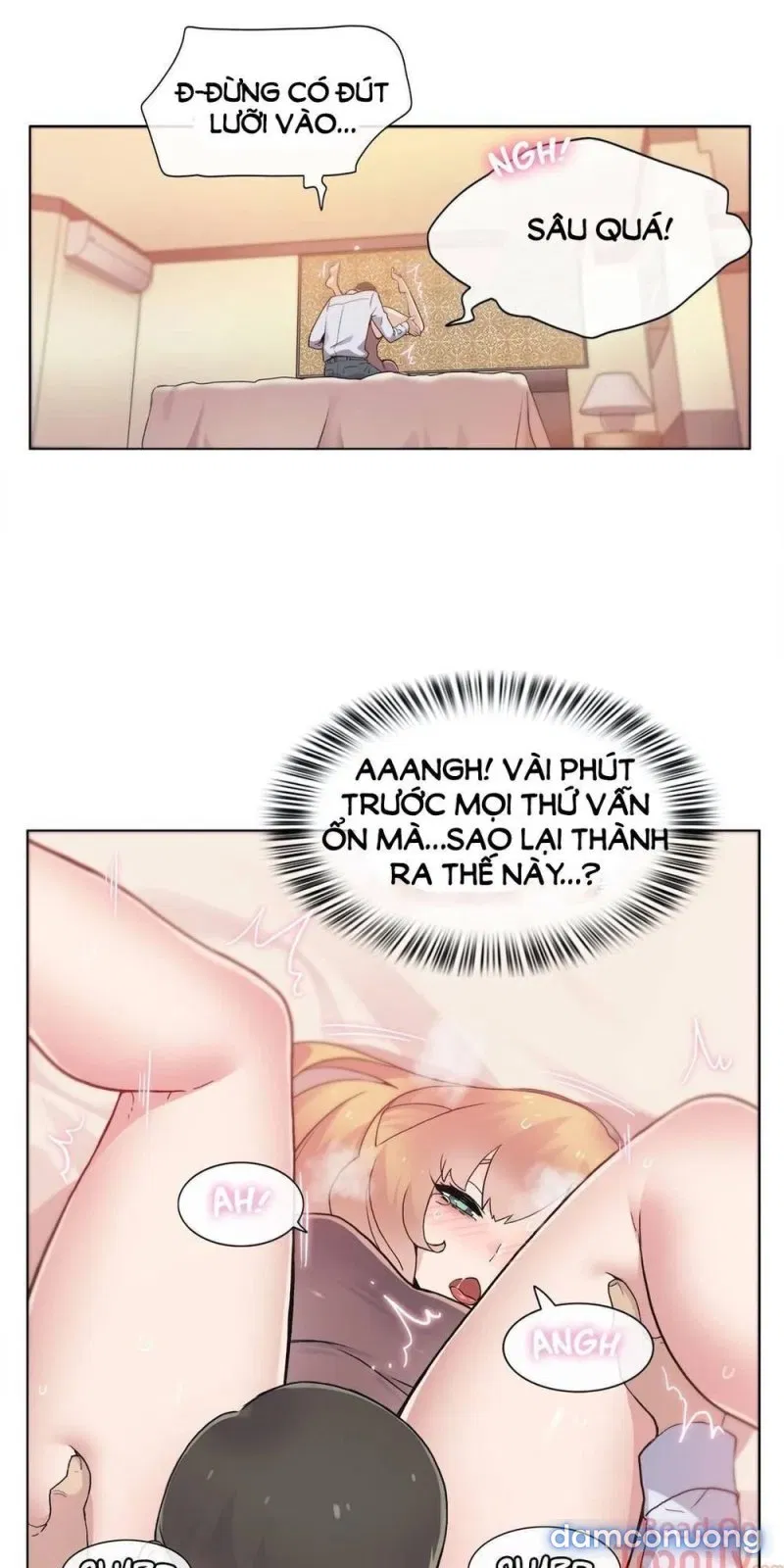 Vùng Đất Kỳ Diệu 