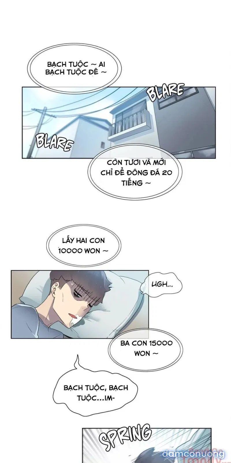 Vùng Đất Kỳ Diệu 