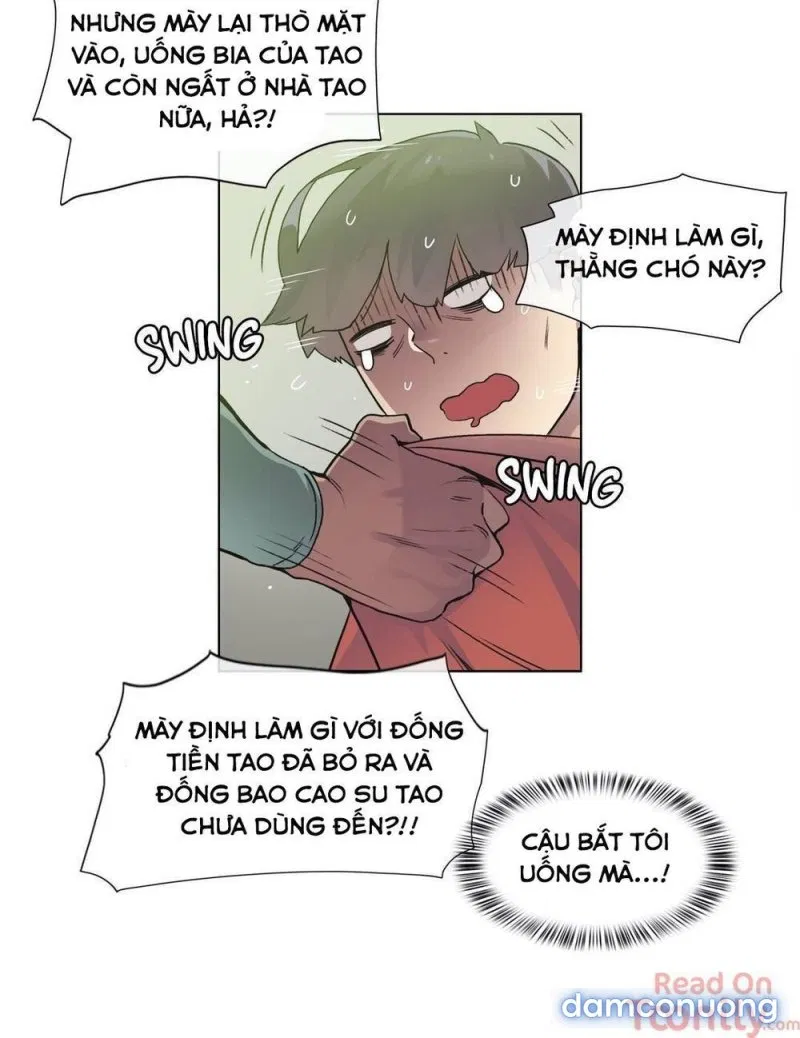 Vùng Đất Kỳ Diệu 