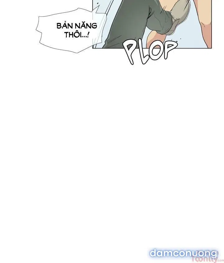 Vùng Đất Kỳ Diệu 