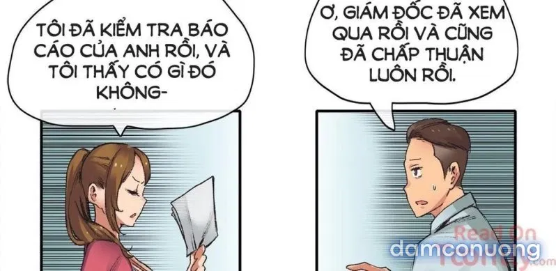 Vùng Đất Kỳ Diệu 
