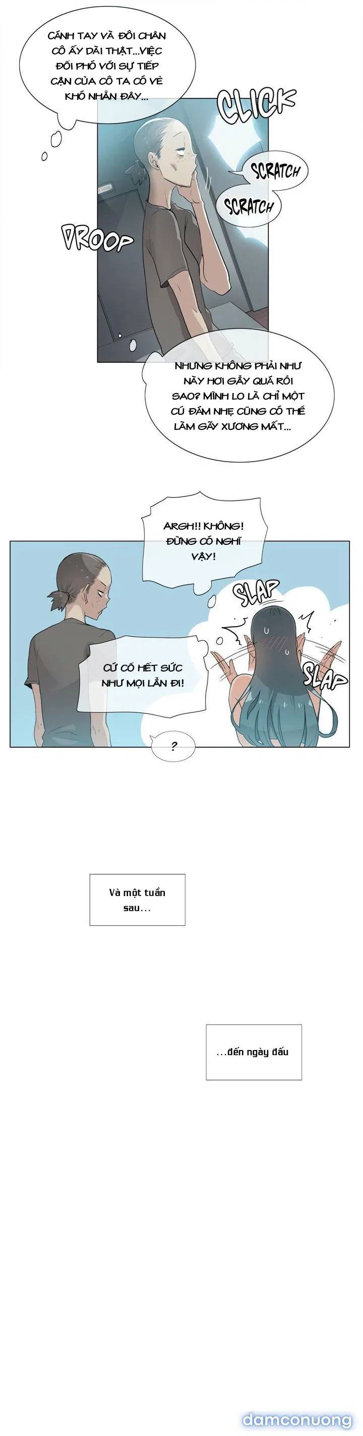 Vùng Đất Kỳ Diệu 