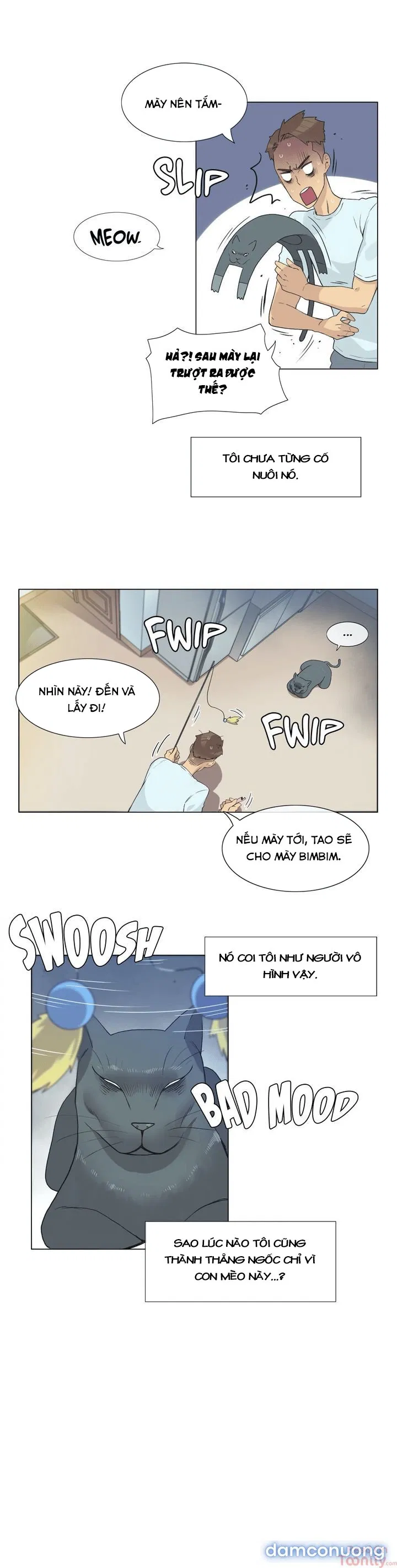 Vùng Đất Kỳ Diệu 