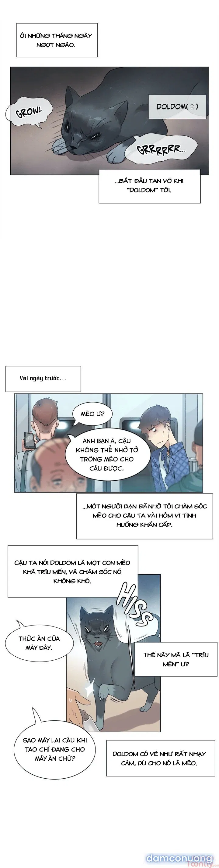 Vùng Đất Kỳ Diệu 