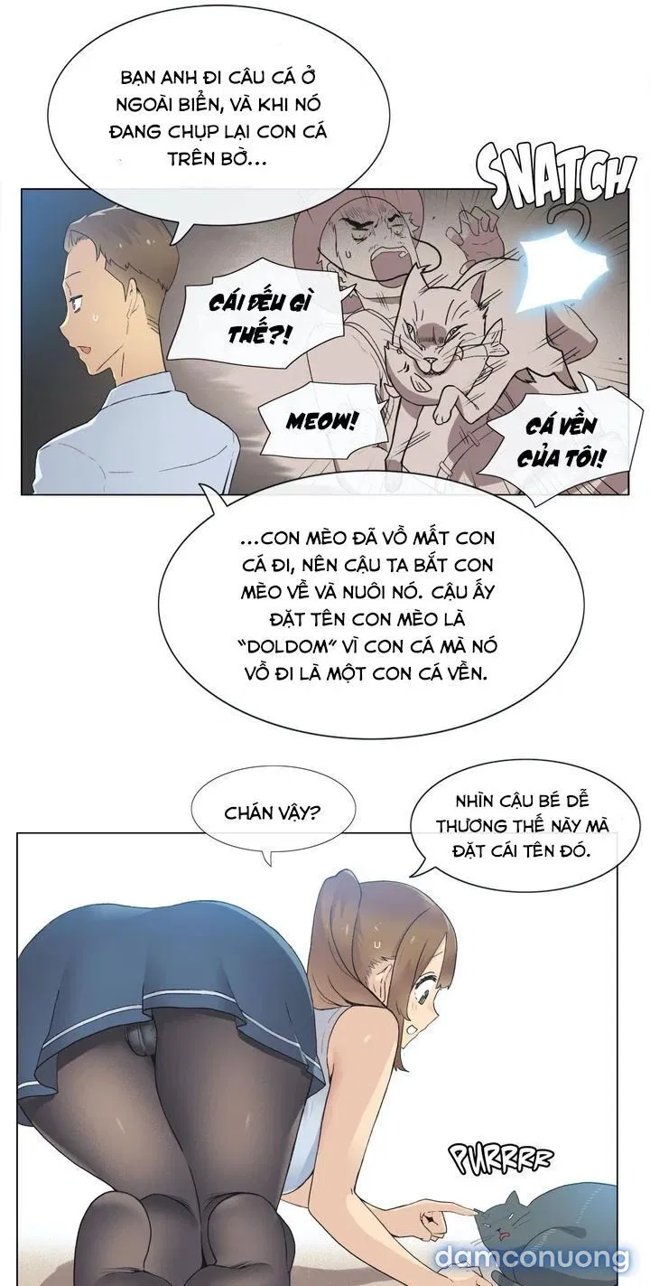 Vùng Đất Kỳ Diệu 