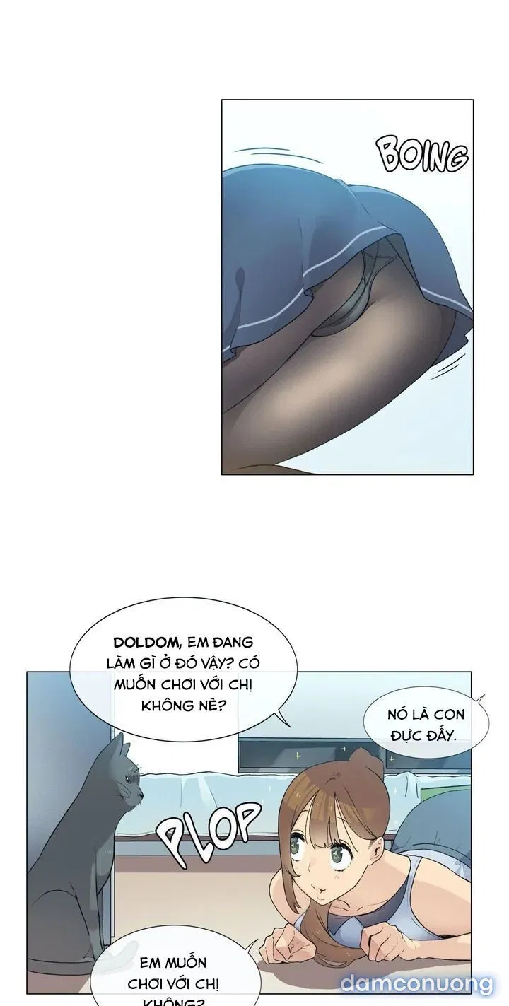 Vùng Đất Kỳ Diệu 