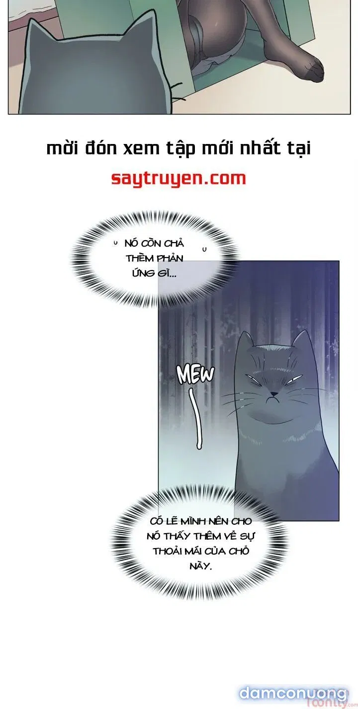 Vùng Đất Kỳ Diệu 